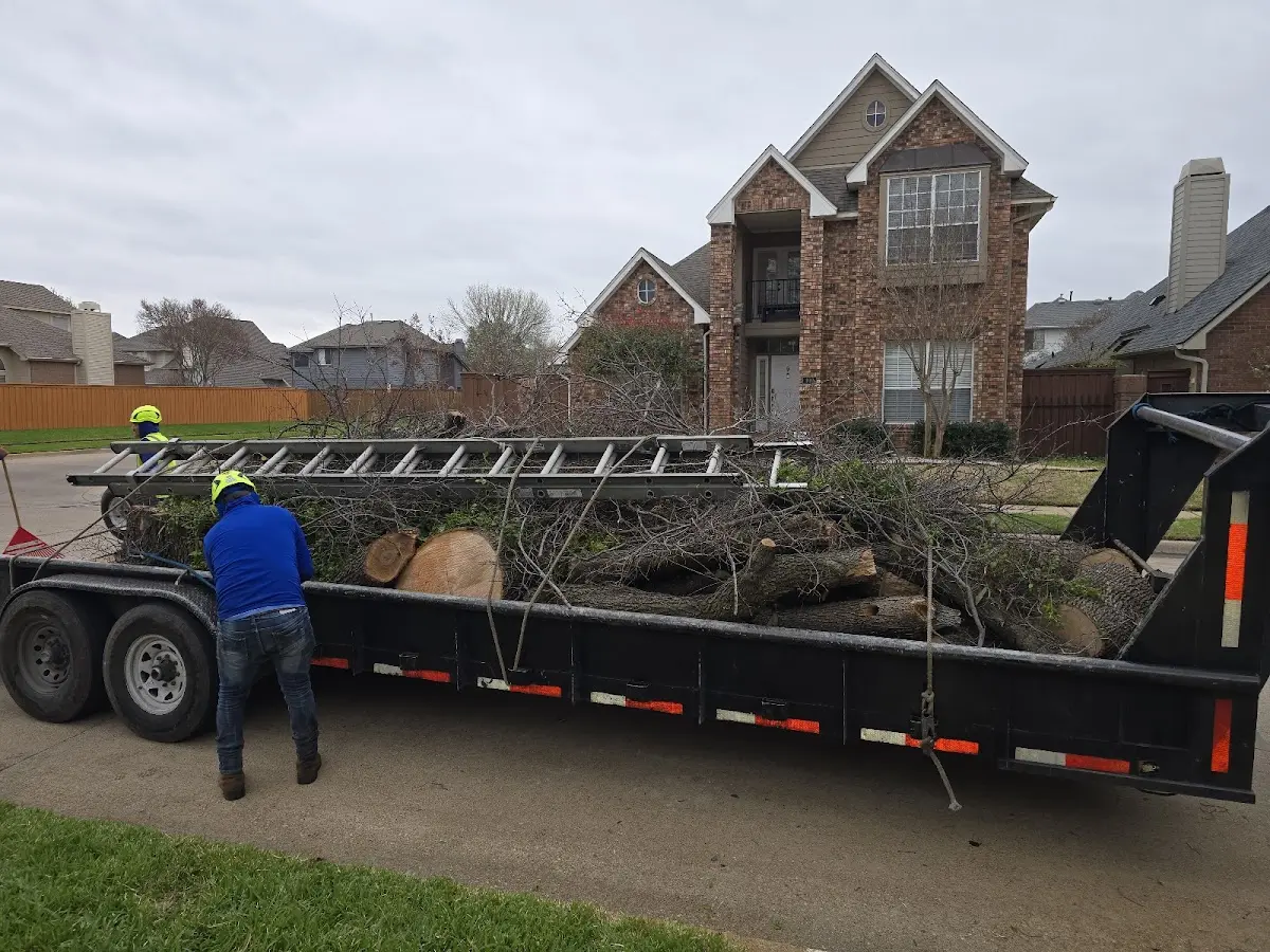 Expert Tree Fertilization with proper safety equipment in Pond Gap